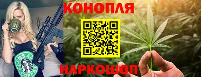 шишки Балаково