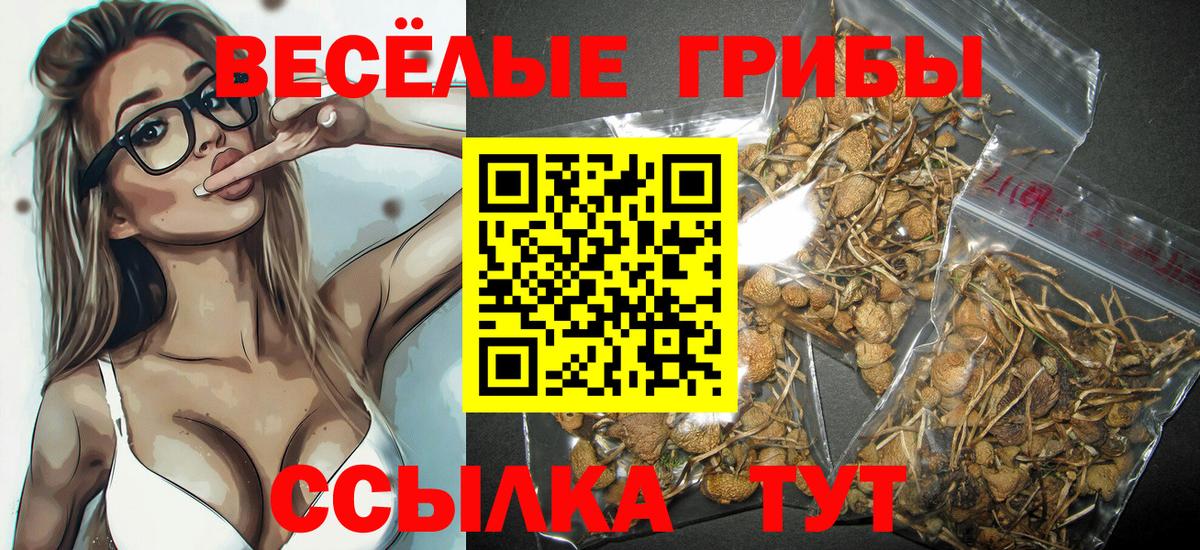 Великий Новгород  где купить наркоту  Вход с VPN  Псилоцибиновые грибы мухоморы  Псилоцибиновые грибы Cubensis 