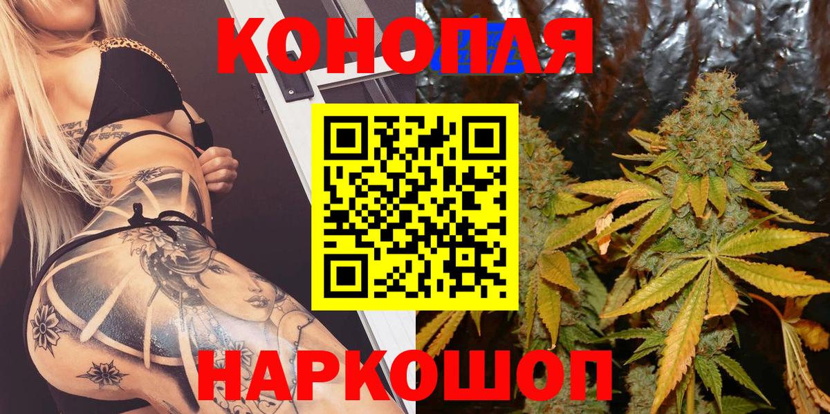Бошки марихуана Ganja Великий Новгород